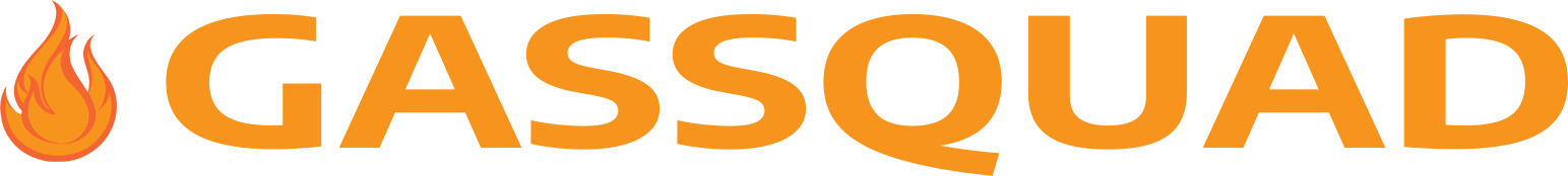 website logo